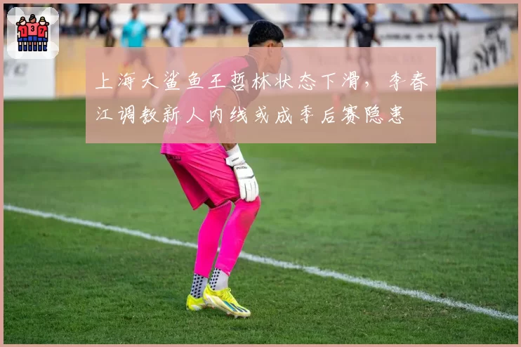 上海大鲨鱼王哲林状态下滑，李春江调教新人内线或成季后赛隐患