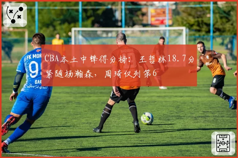 CBA本土中锋得分榜:王哲林18.7分紧随杨瀚森,周琦仅列第6