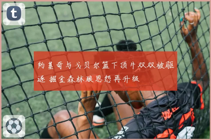 约基奇与戈贝尔篮下顶牛双双被驱逐 掘金森林狼恩怨再升级