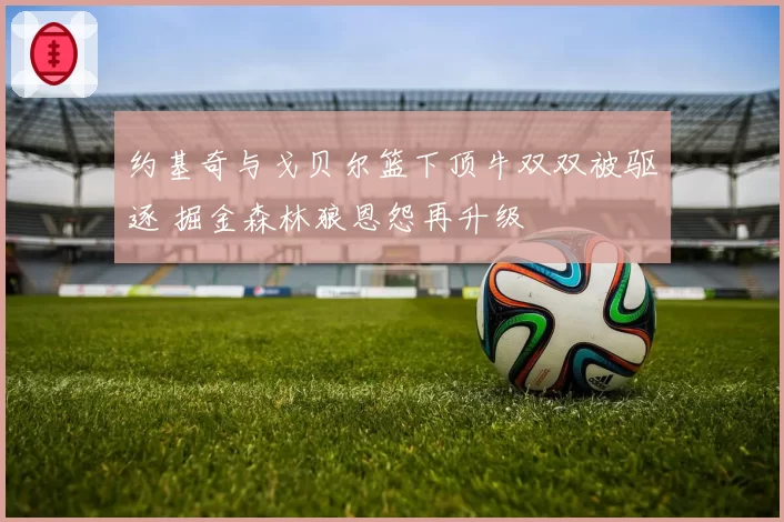 约基奇与戈贝尔篮下顶牛双双被驱逐 掘金森林狼恩怨再升级